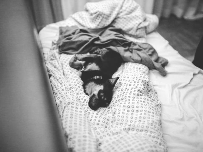 Q. What can shiftworkers or people who work at night do to sleep better? 